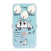Animals Pedal Relaxing Walrus Delay